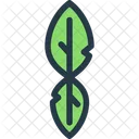 Lime Leaf  Icon