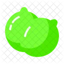 Limes  Icon