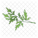 Kalk  Symbol
