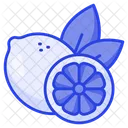 Limon Citricos Lima Icon