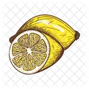 Limon Citricos Citricos Icono