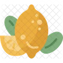 Limon Fruta Vitamina Icon