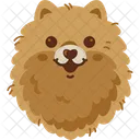 Perro Pomerania Lindo Icono