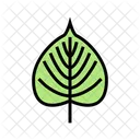 Linden Leaf Tree Icon