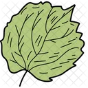 Linden Leaf Leaf Foliage Icon