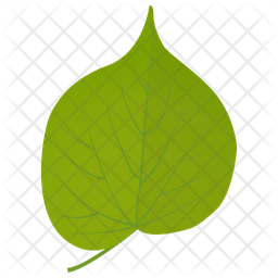 Linden Leaf Icon