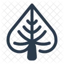 Linden Leaf Tree Green Icon