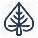 Lindenblatt Baum Grun Symbol
