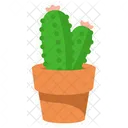 Lindo cactus con maceta  Icono