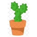 Lindo cactus con maceta  Icono