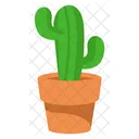 Lindo cactus con maceta  Icono