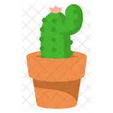 Lindo cactus con maceta  Icono