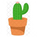 Lindo cactus con maceta  Icono