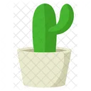 Lindo cactus con maceta minimalista  Icono