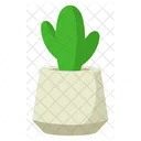 Lindo cactus con maceta minimalista  Icono