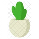 Lindo cactus con maceta minimalista  Icono