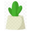 Lindo cactus con maceta minimalista  Icono