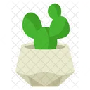 Lindo cactus con maceta minimalista  Icono