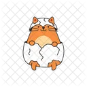 Gato Animal Mascota Icono