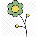 Line Beautiful Flower Outline Bloom Simple Flower Icon