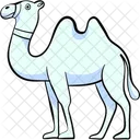 Line camel  Icon