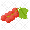 Lingonberry Berry Fruit Berries Icon