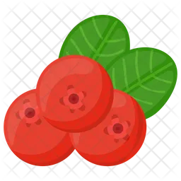 Lingonberry  Icon