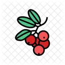 Lingonberry Icon
