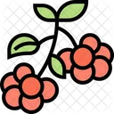Lingonberry Food Dessert Icon