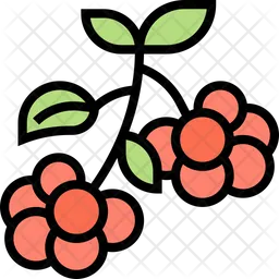 Lingonberry  Icon