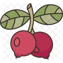 Lingonberry Berry Fruit Icon