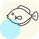 Linguado Oceano Marinho Ícone