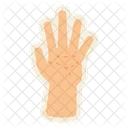 Linha de mão  Icon