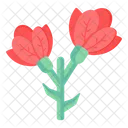 Linifolia Tulip  Icon