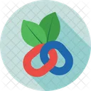 Organic Seo Leaf Icon
