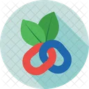 Bio Seo Blatt Symbol