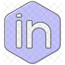 Linkedin Lineal Color Icon Icon