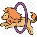 Lion Jumping Hoop Icon