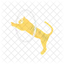 Lion Ring Circus Icon