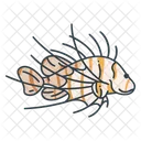 Lion Beach Fish Icon