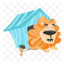 Lion House Lion Shelter Lion Pet Icon