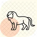 Lion Animal Wildlife Icon