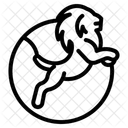  Icône