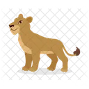 Lioness Lion Cub Lion Icon
