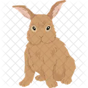 Lionhead Rabbit  Icon