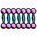 Lipid Bilayer  Icon