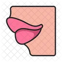 Lips Mouth Face Icon