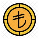 Currency Money Coin Icon