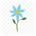 Lirio De Lluvia Zephyranthes Flor Icono