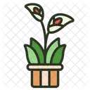 Lirio Lirio Flor Ícone